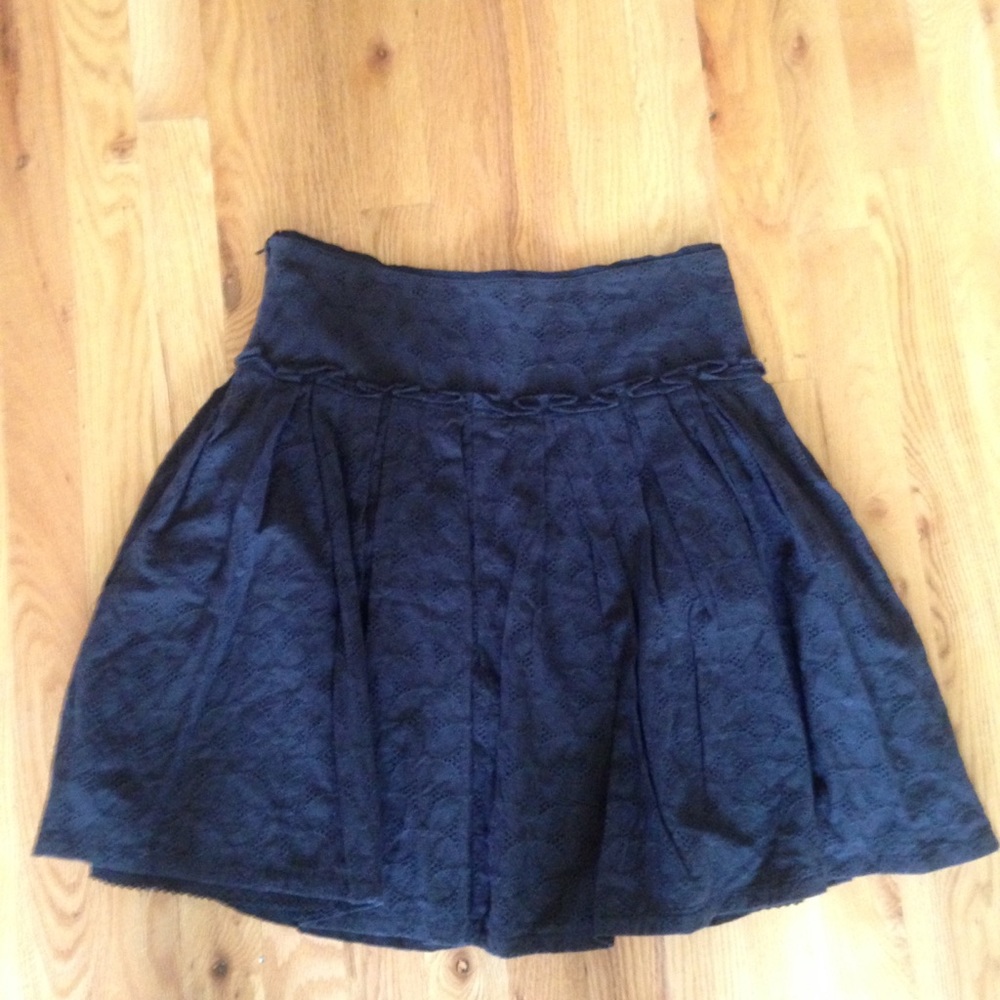 Anthropologie Skirt Size 6